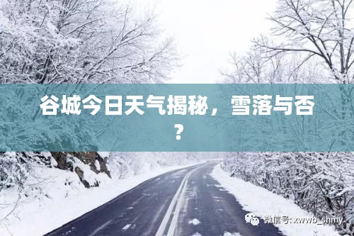 谷城今日天氣揭秘，雪落與否？