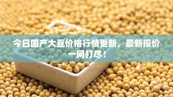 今日國(guó)產(chǎn)大豆價(jià)格行情更新，最新報(bào)價(jià)一網(wǎng)打盡！
