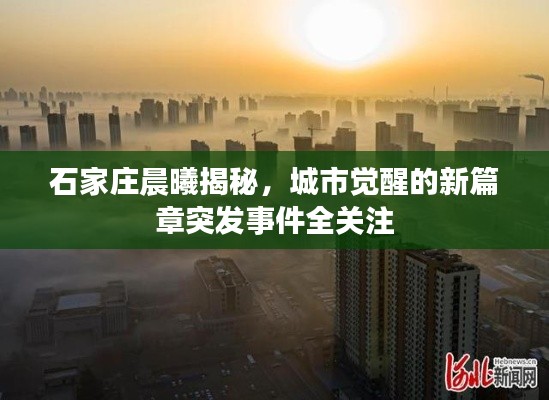 石家莊晨曦揭秘，城市覺(jué)醒的新篇章突發(fā)事件全關(guān)注