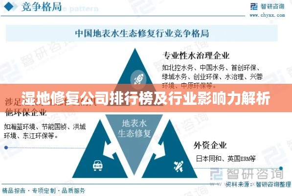 濕地修復(fù)公司排行榜及行業(yè)影響力解析