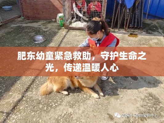 肥東幼童緊急救助，守護(hù)生命之光，傳遞溫暖人心