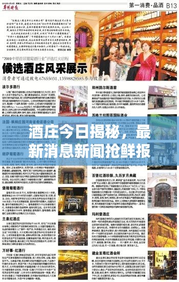 酒莊今日揭秘，最新消息新聞?chuàng)岝r報(bào)