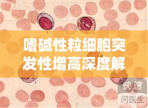 嗜堿性粒細胞突發性增高深度解析，原因、影響與應對措施