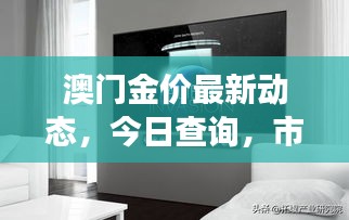 持之以恒