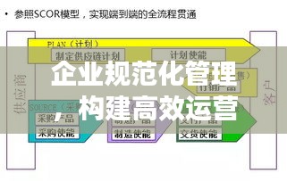 企業(yè)規(guī)范化管理，構建高效運營體系的關鍵所在