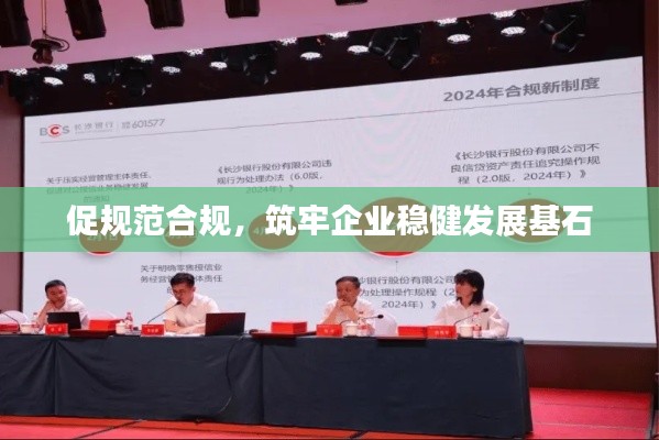 促規范合規，筑牢企業穩健發展基石