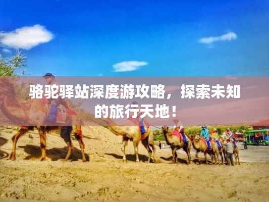 駱駝驛站深度游攻略，探索未知的旅行天地！