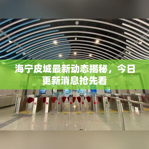 海寧皮城最新動態(tài)揭秘，今日更新消息搶先看