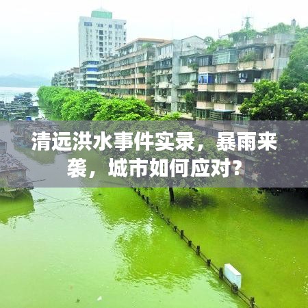 清遠洪水事件實錄，暴雨來襲，城市如何應(yīng)對？