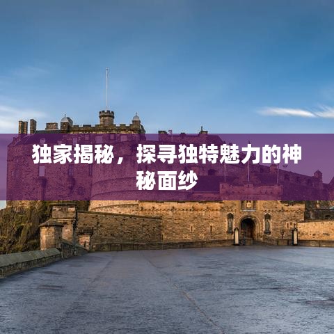 獨家揭秘，探尋獨特魅力的神秘面紗
