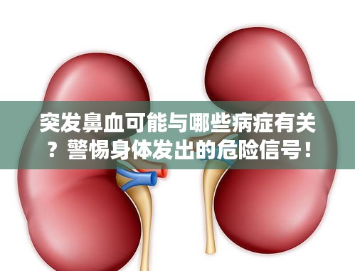 突發(fā)鼻血可能與哪些病癥有關？警惕身體發(fā)出的危險信號！