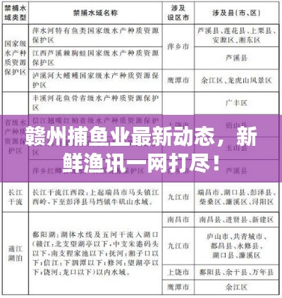 贛州捕魚業最新動態，新鮮漁訊一網打盡！