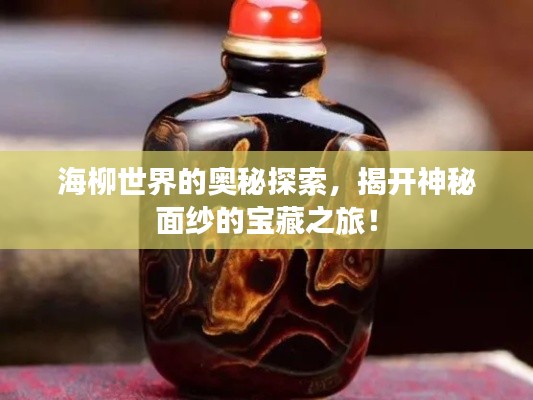 海柳世界的奧秘探索，揭開神秘面紗的寶藏之旅！