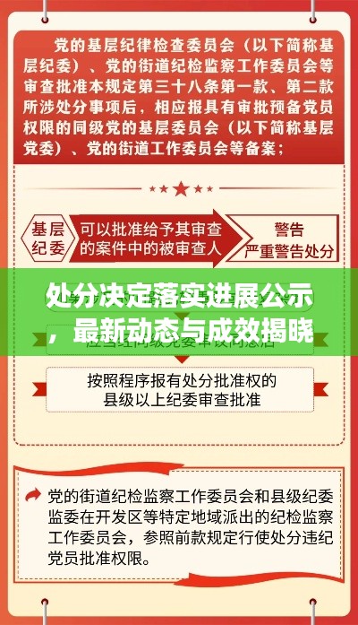 處分決定落實進展公示，最新動態與成效揭曉！