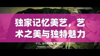 獨家記憶美藝，藝術之美與獨特魅力的完美交融探索