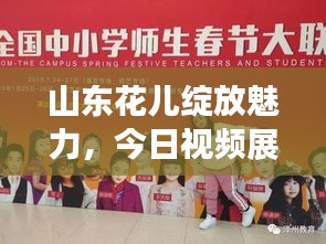 山東花兒綻放魅力，今日視頻展現(xiàn)全新風(fēng)采