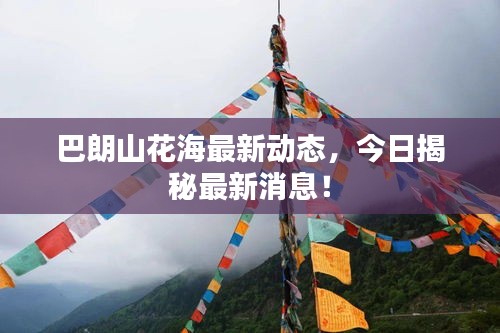 巴朗山花海最新動態(tài)，今日揭秘最新消息！