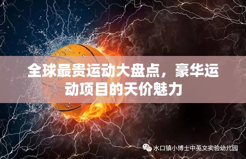 全球最貴運動大盤點，豪華運動項目的天價魅力