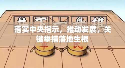 落實中央指示，推動發(fā)展，關(guān)鍵舉措落地生根
