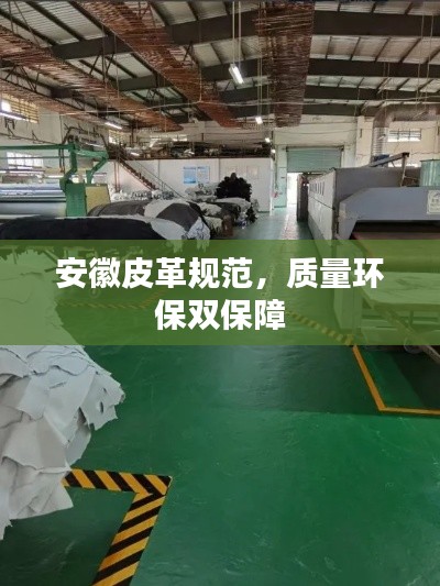 安徽皮革規范，質量環保雙保障