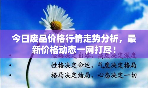 今日廢品價格行情走勢分析，最新價格動態一網打盡！
