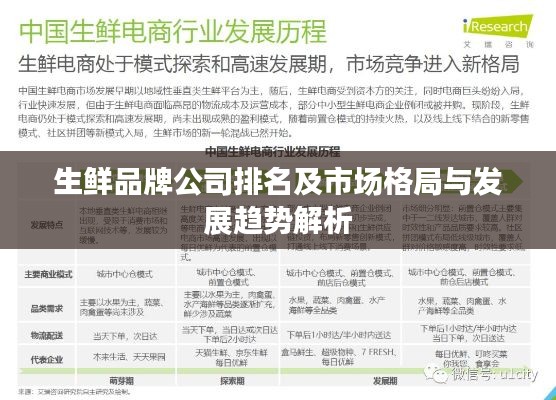 生鮮品牌公司排名及市場格局與發(fā)展趨勢解析