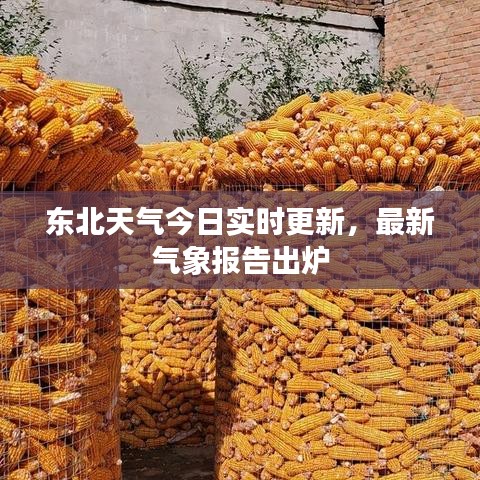 東北天氣今日實(shí)時(shí)更新，最新氣象報(bào)告出爐
