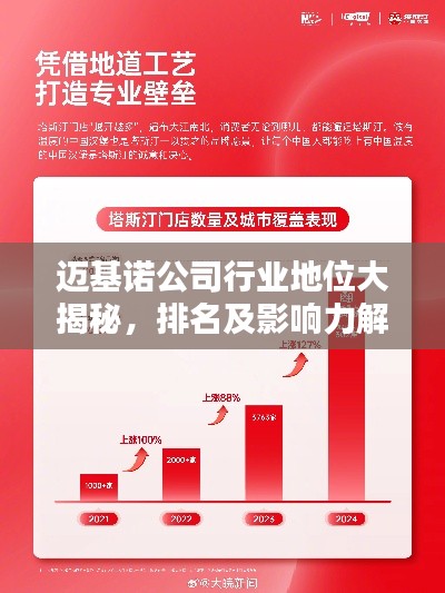 邁基諾公司行業地位大揭秘，排名及影響力解析