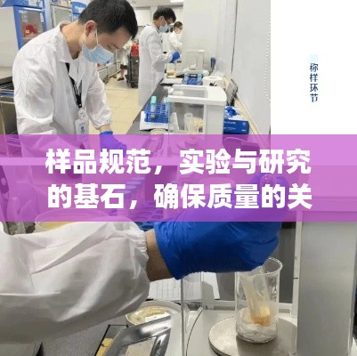 樣品規(guī)范，實(shí)驗(yàn)與研究的基石，確保質(zhì)量的關(guān)鍵所在