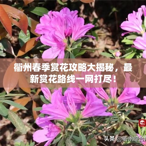 鳥覆危巢