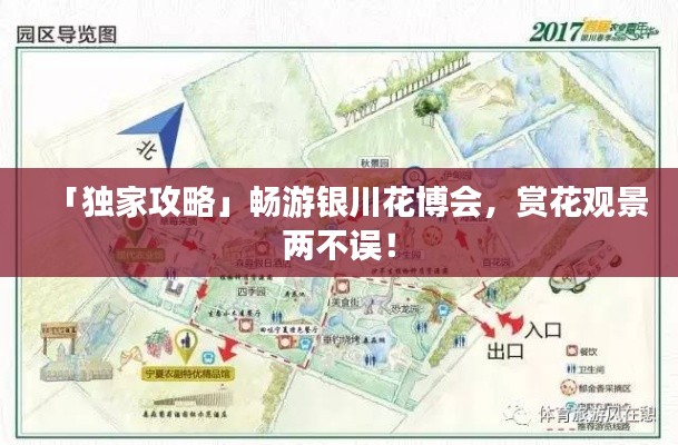 「獨家攻略」暢游銀川花博會，賞花觀景兩不誤！