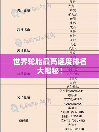 世界輪胎最高速度排名大揭秘！