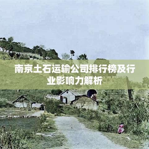 南京土石運輸公司排行榜及行業(yè)影響力解析