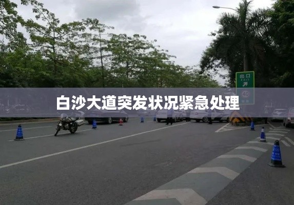 聚精會(huì)神