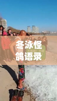 冬泳怪鴿語(yǔ)錄，挑戰(zhàn)極限，擁抱生活的力量，勵(lì)志心靈雞湯！