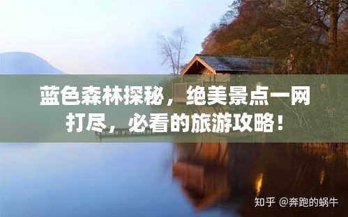 藍(lán)色森林探秘，絕美景點一網(wǎng)打盡，必看的旅游攻略！