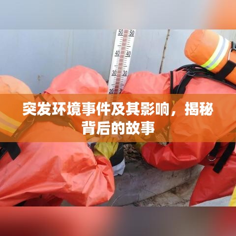 德才兼備