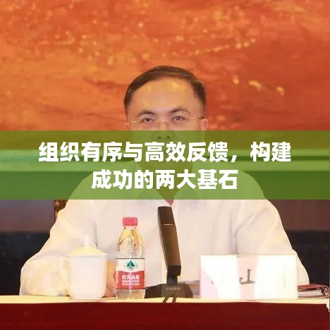 組織有序與高效反饋，構建成功的兩大基石