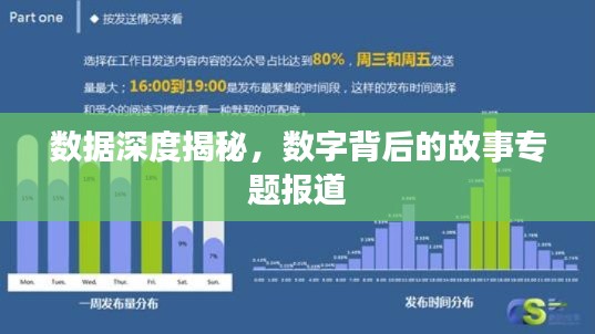 數據深度揭秘，數字背后的故事專題報道