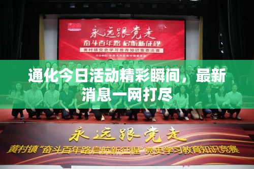 飛揚撥扈