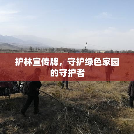護(hù)林宣傳牌，守護(hù)綠色家園的守護(hù)者