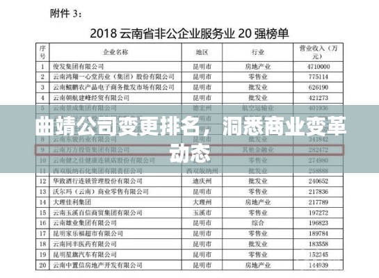 曲靖公司變更排名，洞悉商業(yè)變革動態(tài)