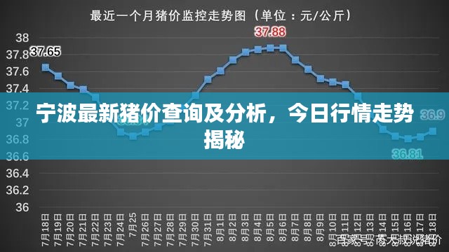 寧波最新豬價(jià)查詢及分析，今日行情走勢(shì)揭秘