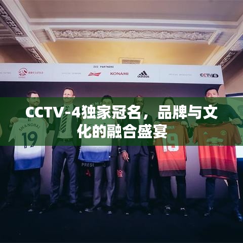 CCTV-4獨(dú)家冠名，品牌與文化的融合盛宴