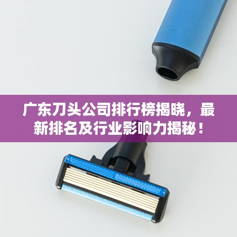 廣東刀頭公司排行榜揭曉，最新排名及行業影響力揭秘！