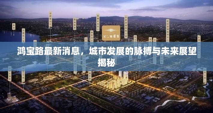 鴻寶路最新消息，城市發展的脈搏與未來展望揭秘