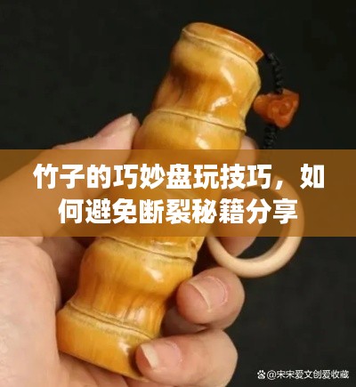 竹子的巧妙盤玩技巧，如何避免斷裂秘籍分享