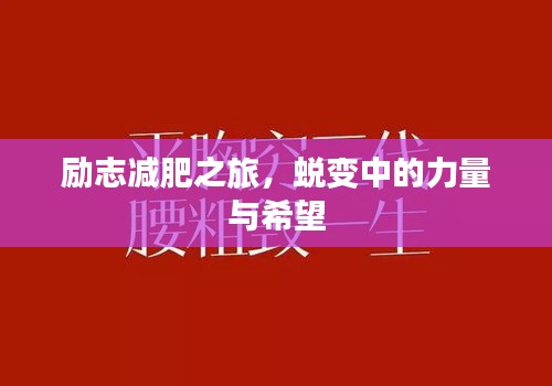 勵志減肥之旅，蛻變中的力量與希望