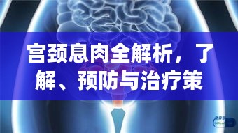 宮頸息肉全解析，了解、預(yù)防與治療策略