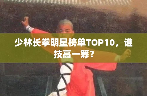 少林長(zhǎng)拳明星榜單TOP10，誰(shuí)技高一籌？